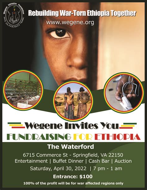 charity organizations in ethiopia|Wegene Ethiopian Foundation.